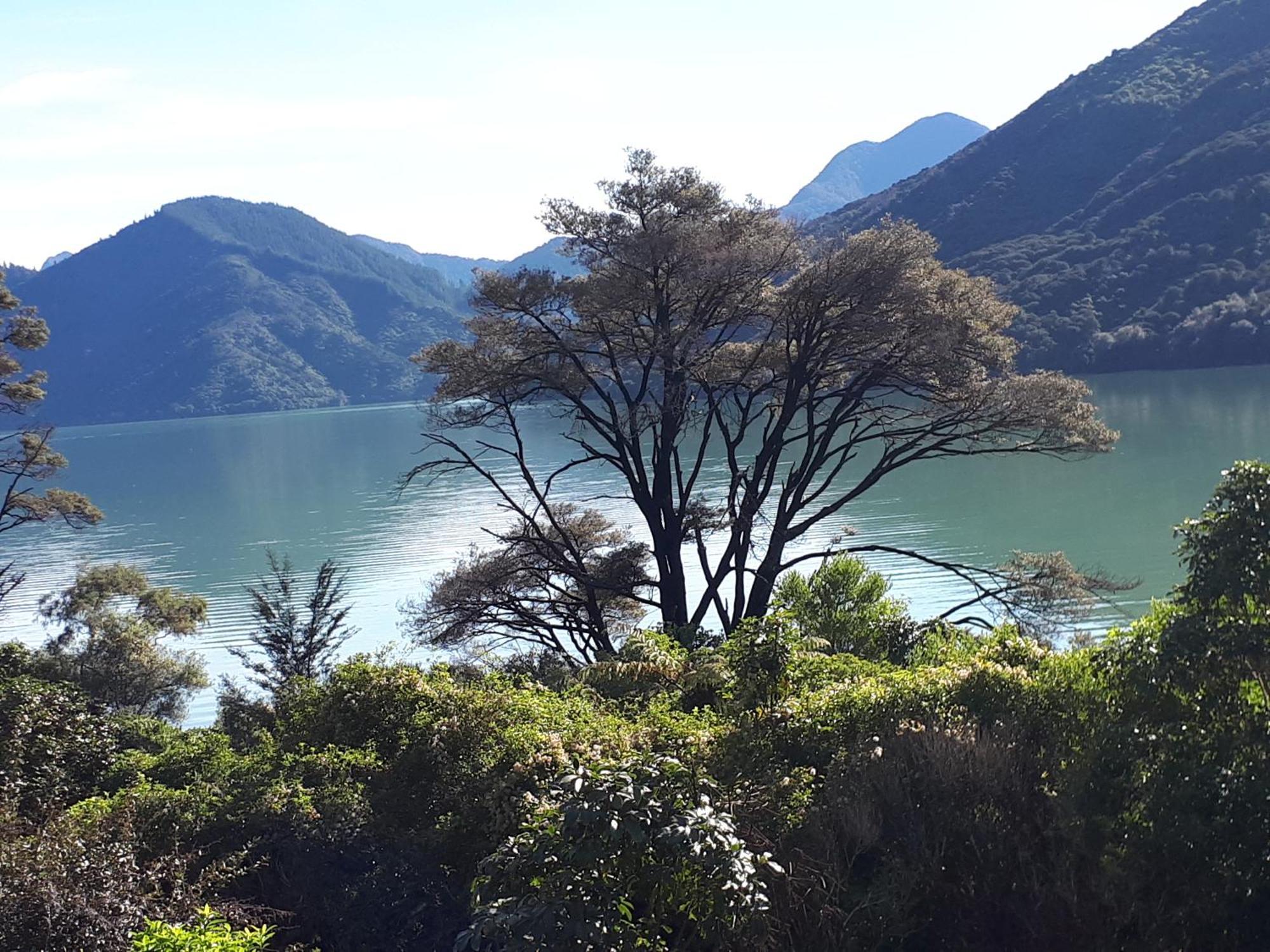 Marlborough Sounds Accommodation Havelock Exterior foto